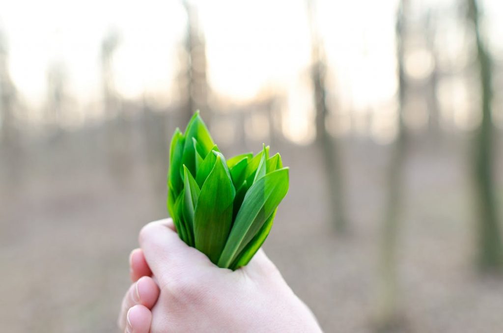 benefits of green leafy vegetables