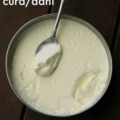 how to make curd